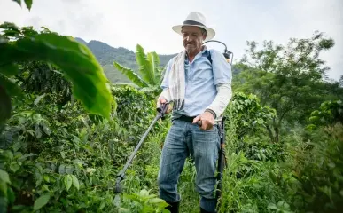 fumigacion de jardines