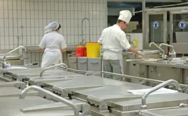 fumigacion de comedores industriales